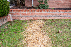 Exterior Landscape Grading and French Drain Installation from D-Bug Waterproofing