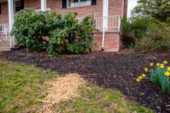 Gutter lead off, French drain, and landscaping from D-Bug Waterproofing