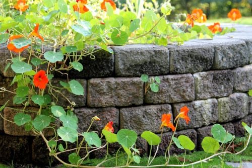 D-Bug Waterproofing can build beautiful retaining walls