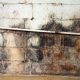 Foundation Wall Water Damage