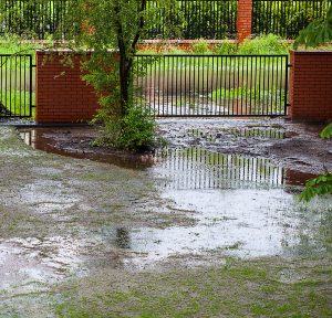 Water Pooling in Yard Causing Wet Basement