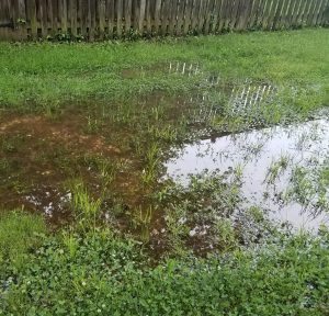 Water Pooled in Muddy Yard. Storm Drain Needed