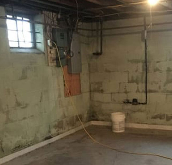 Wet Basement in Need of Waterproofing