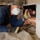 crawlspace-inspection