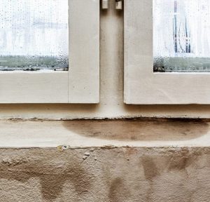 Mold near basement windows