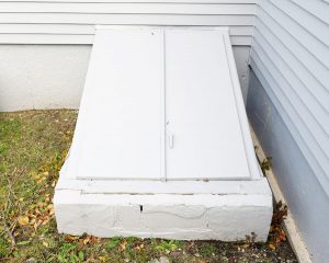 Basement Storm Door